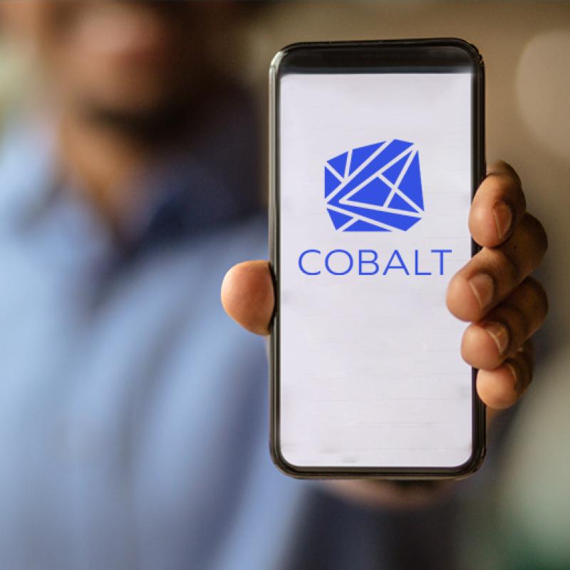 Person holding up a phone with screen displaying "COBALT" and program logo
